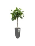 Blumentopf Elho 8400212542500 Anthrazit Kunststoff rund Ø 35 cm Ø 34,5 x 61,5 cm | Tienda24 Tienda24.eu