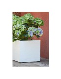 Chest of drawers CHELSEA 3 77,2 x 100,7 x 77 cm