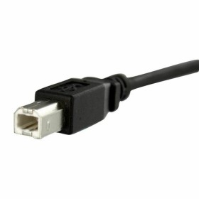 USB Cable Startech USBPNLBFBM1   USB B Black by Startech, USB Cables - Ref: S55056522, Price: 10,45 €, Discount: %