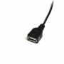 Cable USB A a USB B Startech USBMUSBFM1 de Startech, Cables USB - Ref: S55056711, Precio: 7,73 €, Descuento: %