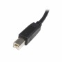 Cable USB A a USB B Startech USB2HAB2M   Negro de Startech, Cables USB - Ref: S55056837, Precio: 5,72 €, Descuento: %