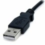 USB Cable Startech USB2TYPEM2M     Black | Tienda24 - Global Online Shop Tienda24.eu