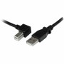 Câble USB A vers USB B Startech USBAB1ML    Noir de Startech, Câbles USB - Réf : S55057273, Prix : 7,18 €, Remise : %