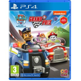 PlayStation 4 Videospiel Outright Games Paw Patrol