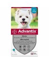 Antiparasites Advantix Chien 4-10 kg 6 Unités | Tienda24 Tienda24.eu