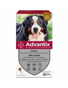 Hundepipette Frontline Combo 2-10 Kg | Tienda24 Tienda24.eu