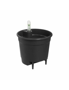 Plant pot EDA Red Anthracite Dark grey Plastic Squared 5 cm | Tienda24 Tienda24.eu