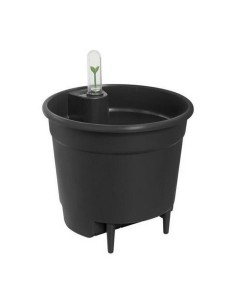 Flower Pot with Dish Dem Greentime Brown ø 22 x 18 cm (12 Units) | Tienda24 Tienda24.eu