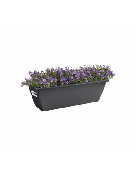 Blumentopf Elho Schwarz Anthrazit Kunststoff rechteckig Moderne | Tienda24 Tienda24.eu