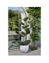 Blumentopf EDA Graphit rund Weiß Ø 50 cm | Tienda24 Tienda24.eu