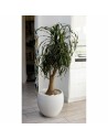 Blumentopf EDA Graphit rund Weiß Ø 50 cm | Tienda24 Tienda24.eu