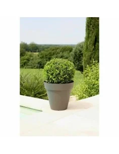 Plant pot Elho Greenville Ø 29,5 x 27,8 cm Plastic | Tienda24 Tienda24.eu