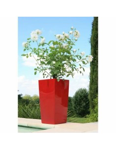 Vaso Riviera Rosso Plastica Quadrato Rotondo Moderno 29 x 29 x 52 cm 29 x 29 cm da Riviera, Vasi tradizionali - Ref: S7152104...