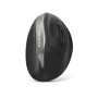 Souris Optique Ergonomique Dicota D31981 Noir 1600 dpi | Tienda24 - Global Online Shop Tienda24.eu