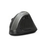 Souris Optique Ergonomique Dicota D31981 Noir 1600 dpi | Tienda24 - Global Online Shop Tienda24.eu