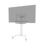 Suporte TV Neomounts AV2-500WH | Tienda24 - Global Online Shop Tienda24.eu