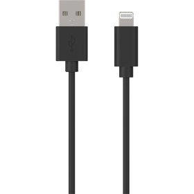 Câble USB C vers USB B LINDY 36942 Noir 2 m | Tienda24 - Global Online Shop Tienda24.eu