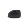 Mouse Urban Factory EML20UF-N Black 1600 dpi | Tienda24 - Global Online Shop Tienda24.eu