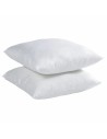 Cuscino 60 x 60 cm (2 Unità) da BigBuy Home, Cuscini - Ref: S7165657, Precio: 32,73 €, Descuento: %