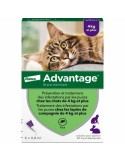 Antiparasites Advantage 2125 | Tienda24 Tienda24.eu