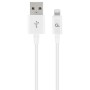 Câble Lightning Cablexpert CC-USB2P-AMLM-1M-W 1 m | Tienda24 - Global Online Shop Tienda24.eu