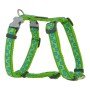 Arnês para Cães Red Dingo Style Turquesa Estrela Verde 46-76 cm de Red Dingo, Arneses - Ref: S6100191, Preço: 19,71 €, Descon...