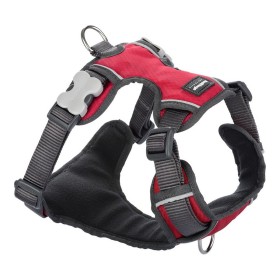 Harnais pour Chien Red Dingo Rembourré Rouge Taille XS de Red Dingo, Harnais - Réf : S6100192, Prix : 22,94 €, Remise : %