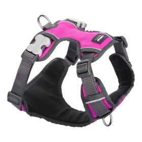 Harnais pour Chien Red Dingo Rembourré Fuchsia Taille S de Red Dingo, Harnais - Réf : S6100194, Prix : 24,71 €, Remise : %