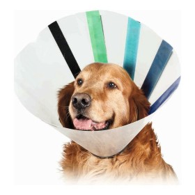 Elizabethan Dog Collar KVP EZ Clear (25-32 cm) by KVP, Collars and recovery cones - Ref: S6100244, Price: 10,12 €, Discount: %