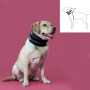 Halskrause für Hunde KVP Schwarz (15-53 cm) | Tienda24 - Global Online Shop Tienda24.eu