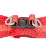 Harnais pour Chien Gloria Trek Star 33,4-35 cm 51-52 cm Rouge L de Gloria, Harnais - Réf : S6100283, Prix : 10,20 €, Remise : %