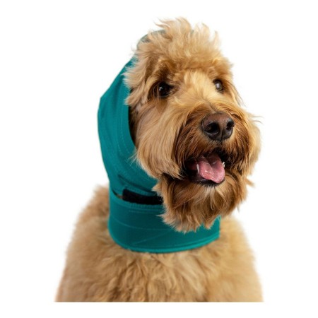 Ear Protector for Dogs KVP Green XS size by KVP, Hearing care - Ref: S6100332, Price: 31,22 €, Discount: %