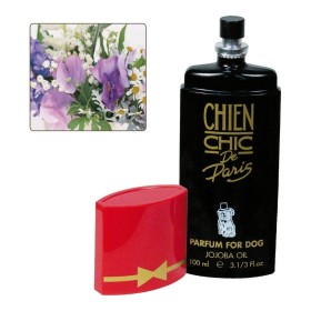 Parfüm für Haustiere Chien Chic blumig Hund 100 ml von Chien Chic, Hundekörperpflegemittel - Ref: S6100458, Preis: 16,89 €, R...