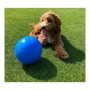 Hundespielzeug Company of Animals Boomer Blau 200mm von Company of Animals, Bälle - Ref: S6100559, Preis: 18,53 €, Rabatt: %