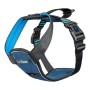 Hundegeschirr Company of Animals Carsafe Crash Tested Blau 34 cm Unterwegs XS | Tienda24 - Global Online Shop Tienda24.eu