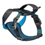 Harnais pour Chien Company of Animals Carsafe Crash Tested Bleu 34 cm De voyage XS de Company of Animals, Harnais de sécurité...