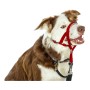 Collar de Adiestramiento para Perros Company of Animals Halti Bozal (31-40 cm) de Company of Animals, Collares de adiestramie...