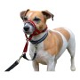 Dressurhalsband für Hunde Company of Animals Halti Maulkorb (31-40 cm) von Company of Animals, Trainingshalsbänder - Ref: S61...