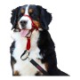 Dressurhalsband für Hunde Company of Animals Halti Maulkorb (31-40 cm) von Company of Animals, Trainingshalsbänder - Ref: S61...