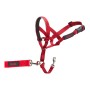 Dressurhalsband für Hunde Company of Animals Halti Maulkorb (46-62 cm) von Company of Animals, Trainingshalsbänder - Ref: S61...