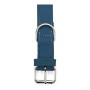 Collier pour Chien Gloria Oasis Bleu (1,2 x 35 cm) | Tienda24 - Global Online Shop Tienda24.eu