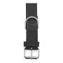 Collier pour Chien Gloria Oasis Noir (45 x 1,8 cm) de Gloria, Colliers - Réf : S6100693, Prix : 6,86 €, Remise : %