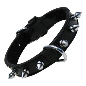 Collier pour Chien Gloria Duna Noir Doré (35 x 2 cm) | Tienda24 - Global Online Shop Tienda24.eu