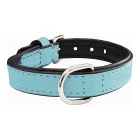 Dog collar Gloria Padded Turquoise 40 cm (40 x 2 cm) | Tienda24 - Global Online Shop Tienda24.eu