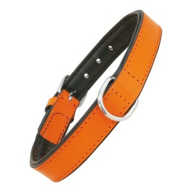 Dog collar Gloria Padded Orange (40 x 2 cm) by Gloria, Collars - Ref: S6100746, Price: 7,44 €, Discount: %