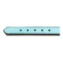 Dog collar Gloria Padded Blue (45 x 2 cm) | Tienda24 - Global Online Shop Tienda24.eu