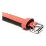 Collar para Perro Gloria Acolchado Coral (50 x 2,5 cm) de Gloria, Collares - Ref: S6100757, Precio: 8,08 €, Descuento: %