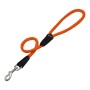 Correa para Perro Gloria 1.2 x 60 cm Naranja de Gloria, Correas - Ref: S6100797, Precio: 10,53 €, Descuento: %