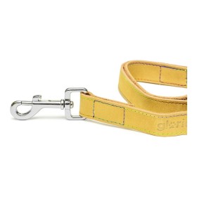 Laisse pour Chien Gloria Oasis 2.1 x 100 cm Jaune de Gloria, Sangles - Réf : S6100877, Prix : 11,45 €, Remise : %