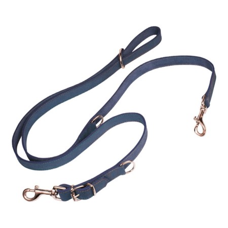 Laisse pour Chien Gloria Oasis Multiple 2.1 x 200 cm Bleu de Gloria, Sangles - Réf : S6100889, Prix : 17,77 €, Remise : %